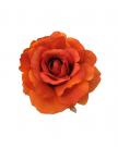 Blumen orange