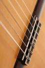 Martin Flamenco-Gitarre blanca 2013 No. 45