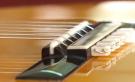 Gitarrensaitenendstück in Perlweiß Knochen