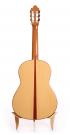 Flamenco-Gitarre Daniel Gil De Avalle blanca nr 150 2014 concert