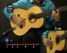 Seguiriya DVD 2 Buch 2 Flamenco Gesangsbegleitung durch die Meister