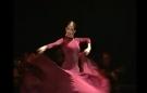 Alegrias + Guajira Flamenco-Tanz DVD-Unterricht aus dem Konservatorium von Madrid vol 1