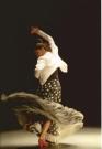 Alegrias + Guajira Flamenco-Tanz DVD-Unterricht aus dem Konservatorium von Madrid vol 1