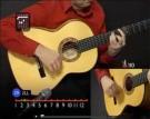 Soleá DVD 2 Buch 2 Flamenco Gitarre Gesangsbegleitung durch die Meister
