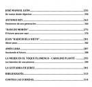 Meister Flamenco-Gitarristen Buch 2