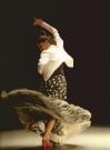 Bündel Flamenco-Tanz DVD-Unterricht aus dem Konservatorium von Madrid DVD 1  2 3