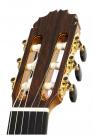 Gitarre Reyes besonderes Konzert Flamenco Zypresse