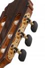 Gitarre Reyes besonderes Konzert Flamenco Zypresse