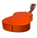 Antonio Torres Dorado Flamenco Gitarre