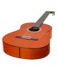 Antonio Torres Dorado Flamenco Gitarre