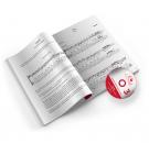 La guitarra Mágica de Myrddin Buch und DVD