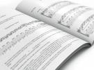 La guitarra Mágica de Myrddin Buch und DVD