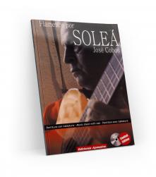 Flamenco Gitarrenklasse Methode für Solea