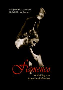 Flamenco - Gebrauchsanweisung für Flamenco-Tänzer und -liebhaber